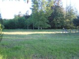 MLS # 317768: BOTH OPEN AND FORESTED AREA